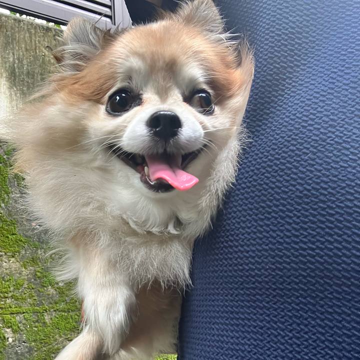 Dcc32b8b 3649 4bd8 94a7 45b8fdffd647 1757741784554