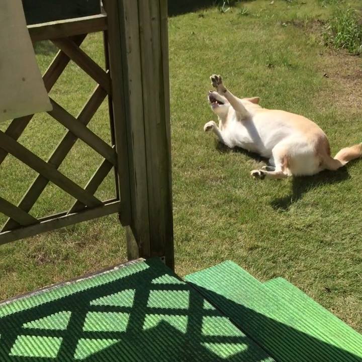 Dcc3341d 6235 461e b234 903a77f3c740 1508985704291