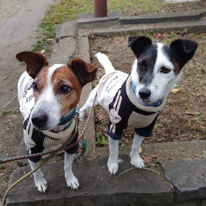 Dcc33d13 d477 4afb b1be 37378709ad11 1729636833701