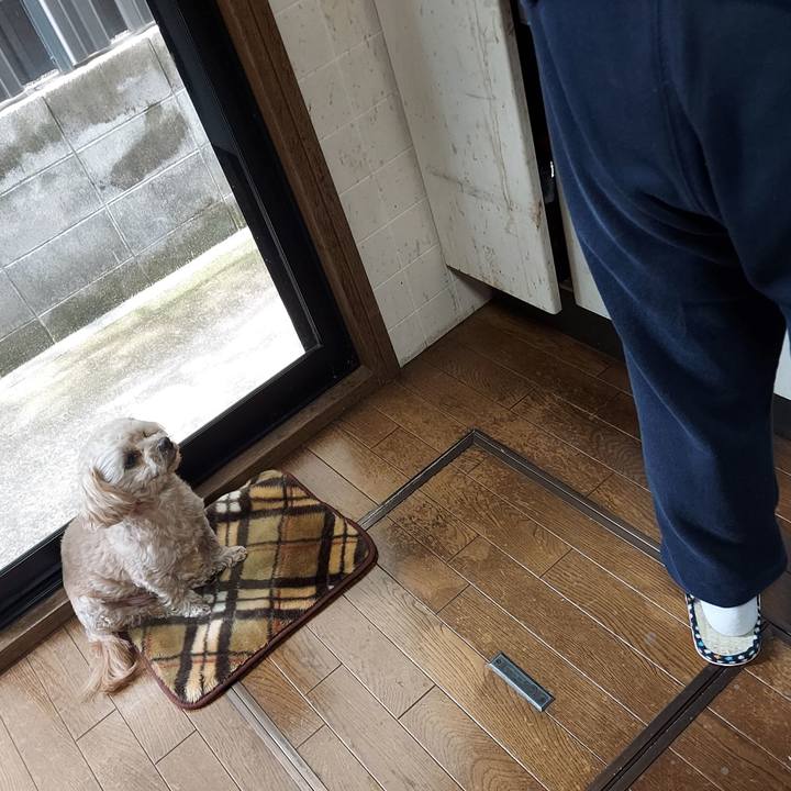 Dcc36c96 e11c 48f7 8962 9b7503aab12a 1645326915648