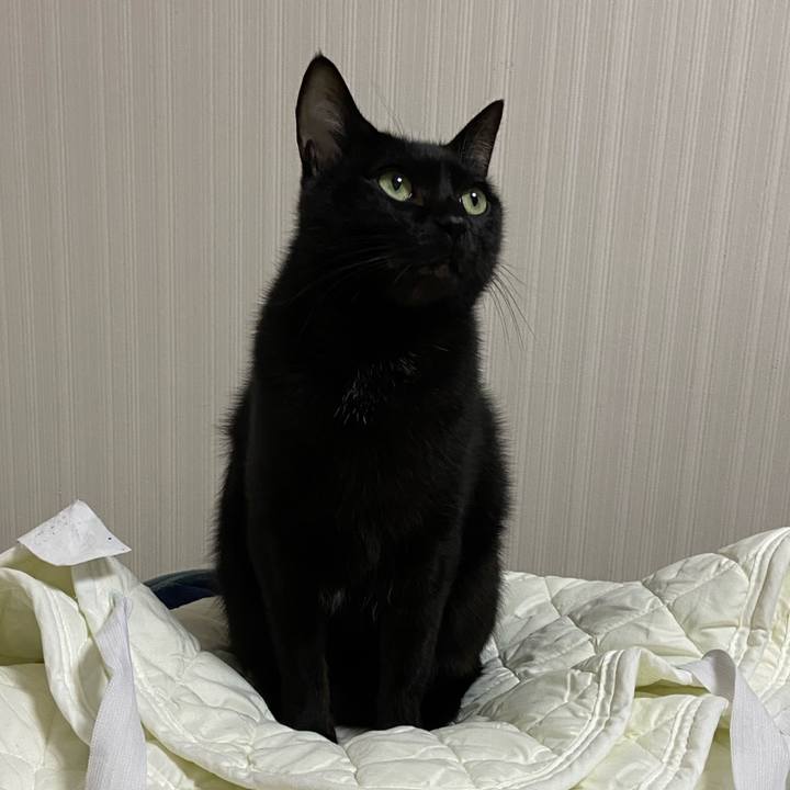 Dcc36cb2 a31d 4e49 a18b 5ca9d320138b 1670763046005