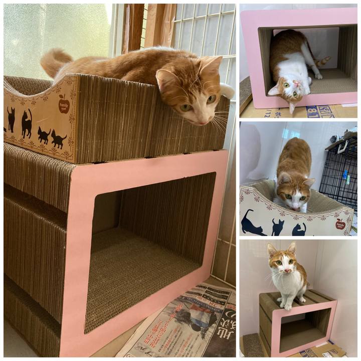 Dcc37b18 3656 4151 af7b 091fe008ad92 1615782207392