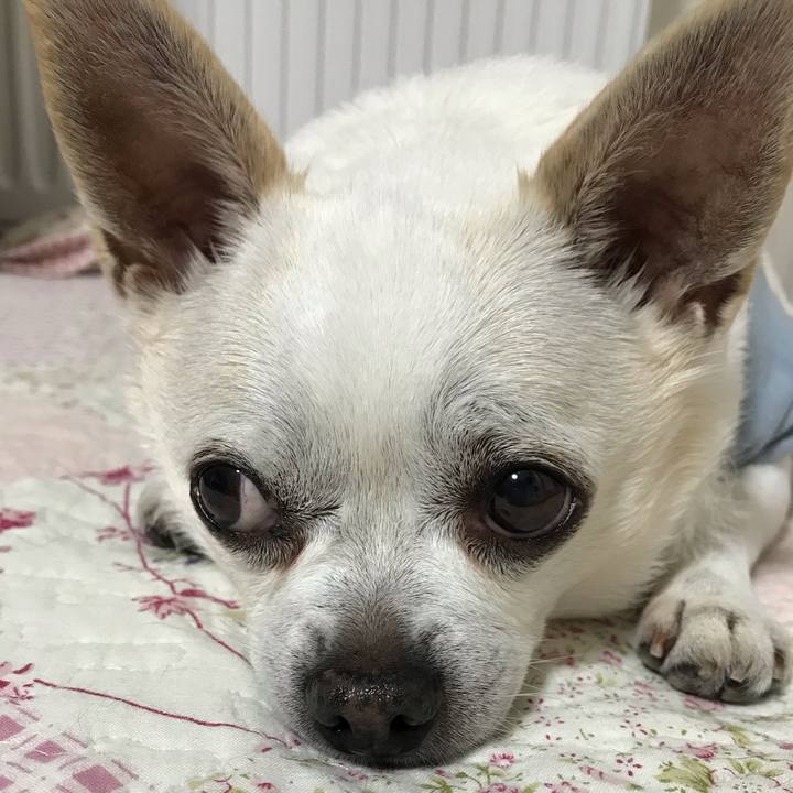 Dcc3a21f 5491 4b86 8550 665010330cb6 1615290397341