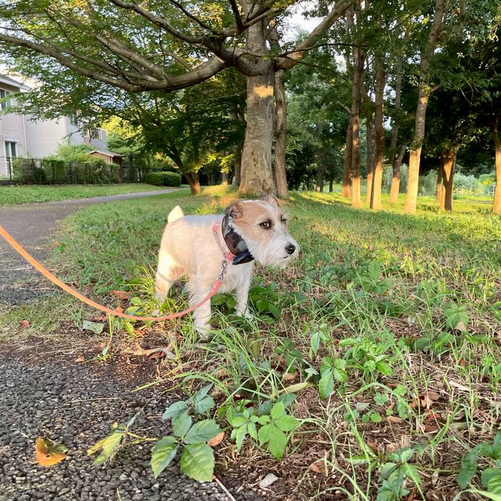 Dcc3a606 0d17 499c 9a4b 87a6140edcd3 1658756748755