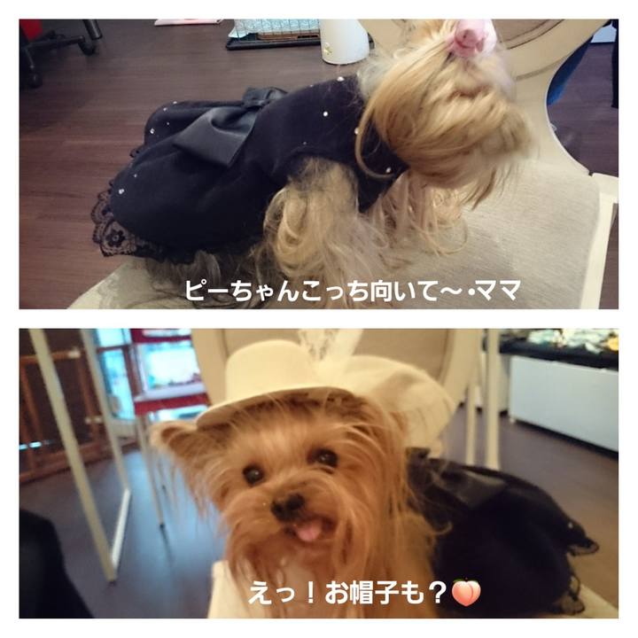 Dcc3d431 be2d 4169 8b68 7733845aaf0f 1702684821692