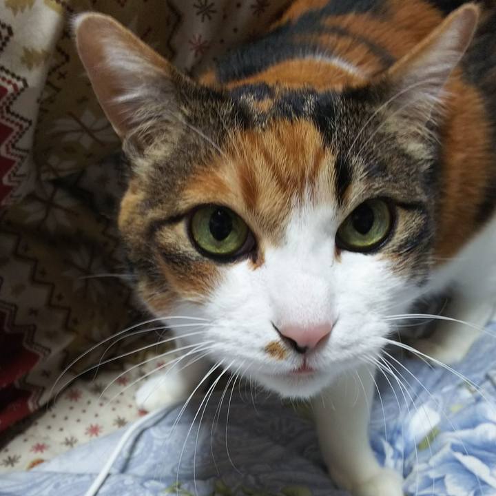 Dcc3f6ec bca8 471b aea9 a46d0ff41abd 1552859586561