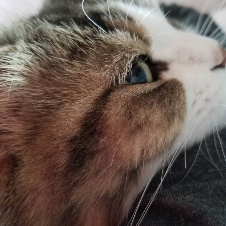 Dcc3f810 d680 469d 93d3 57fe1a1bfb66 1539643002951