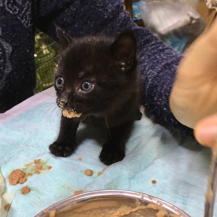 Dcc3fbaa 0d61 43df ba1f 7908d70b1d8f 1557304270047