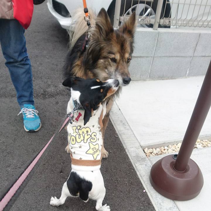 Dcc402c9 575b 43c9 82b8 6e3da2a657a2 1551234494991