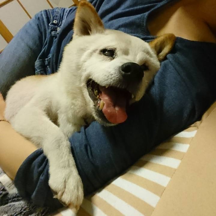 Dcc4044c c086 4236 b224 912afd5d8093 1508551747869