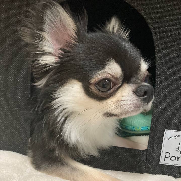 Dcc40458 d60d 4f9a 93c8 7a13ac77e18b 1624107386674