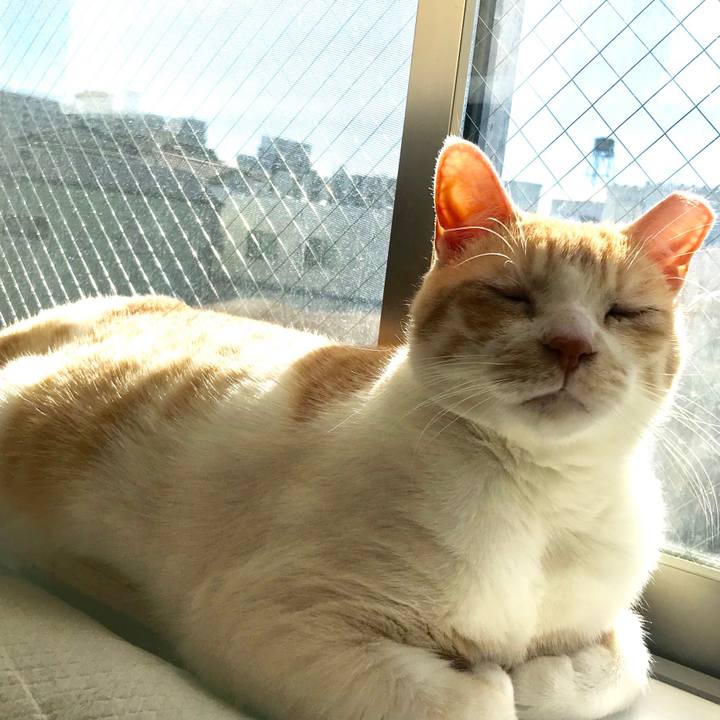 Dcc47e77 9d6a 457d b68a 3acda4be6d70 1546438346809