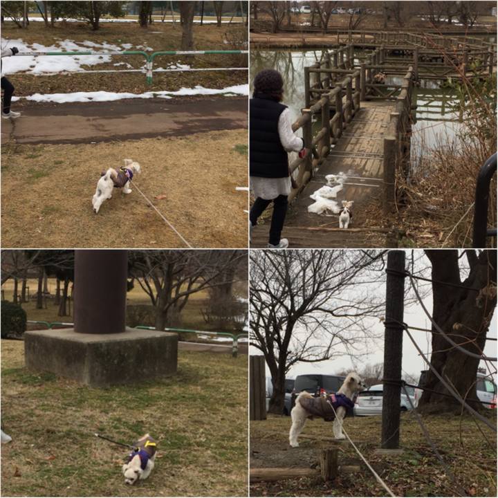 Dcc4aecf f64e 44e3 ae32 398c78391349 1517647072530