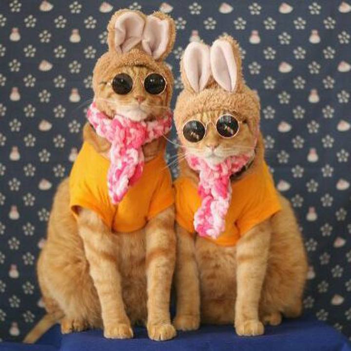 Dcc4c958 b899 471d 96e9 97264b12f42e 1544353858679