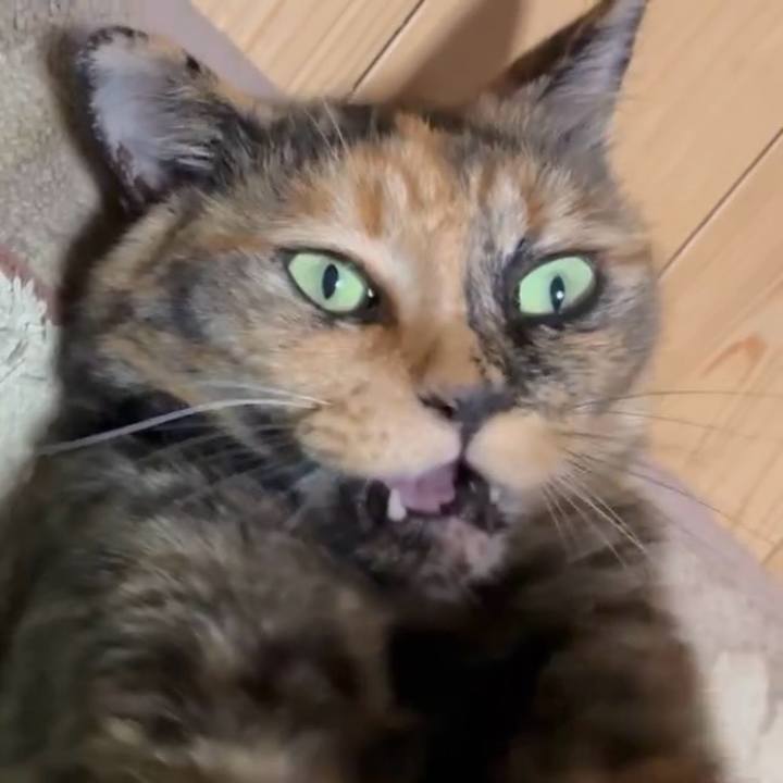 Dcc4f965 fcfd 4081 a713 2a0e0f33b537 1753135276170