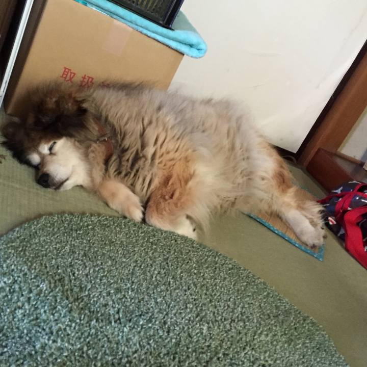 Dcc50652 8e96 47ef bc7b 1cbc296433b2 1594171829438