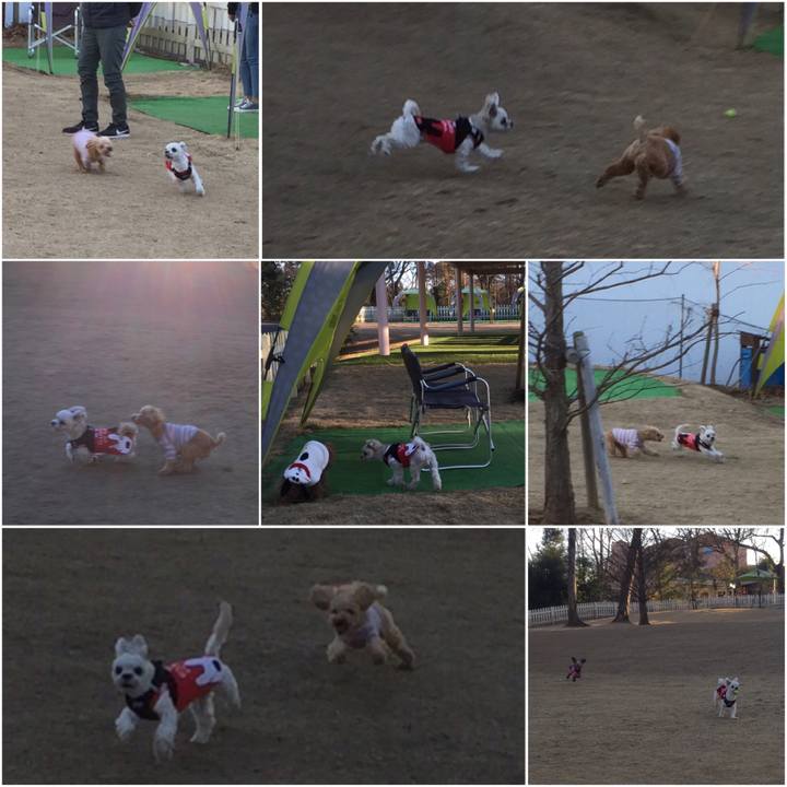 Dcc52fb5 0b68 46d5 b9a2 6424e2b81678 1516189864254