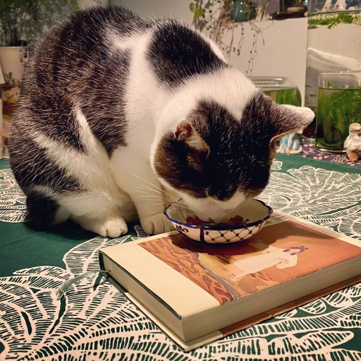 Dcc54807 d90b 4a12 96fd 7c33620dfd92 1638780936882