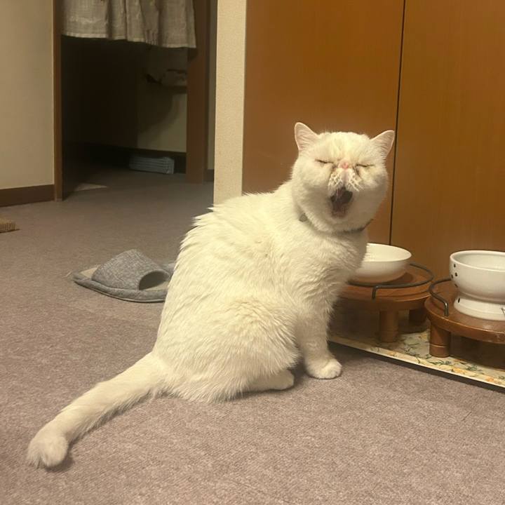 Dcc5ac50 410e 45a1 8338 0f012d7d6a9f 1742385205502