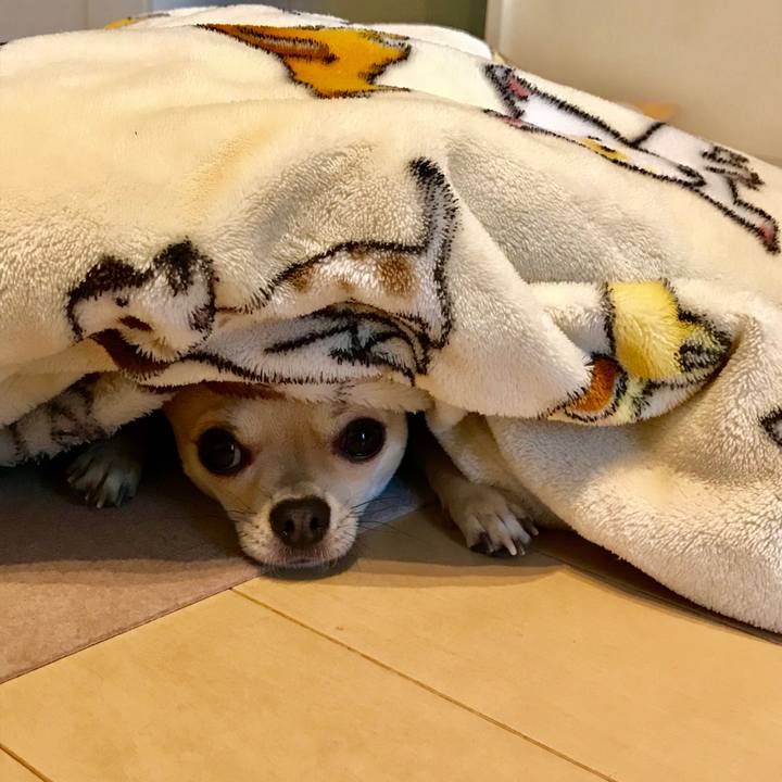 Dcc5af02 f709 44c8 85da 4fccd574cf5b 1519548643719