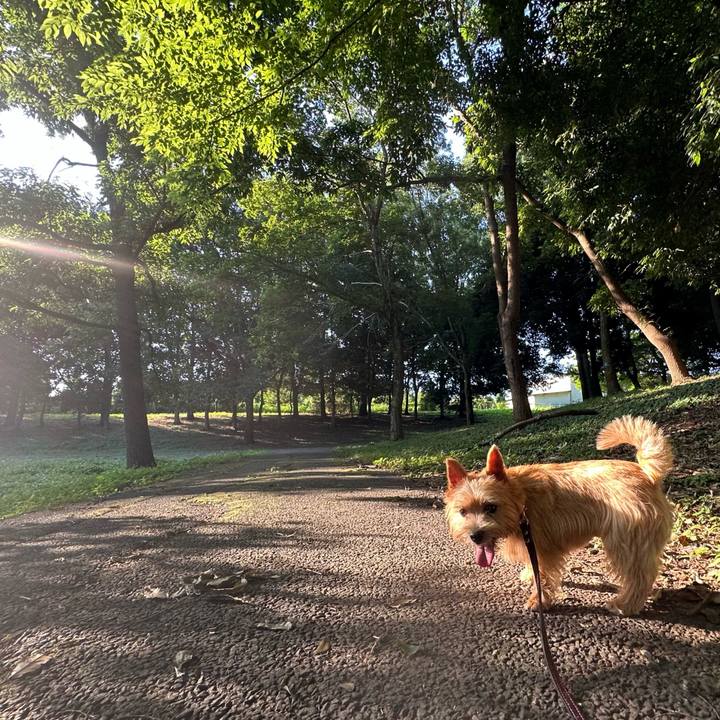 Dcc5b59f b928 4d47 ac18 e19caca0c7fe 1753333807696