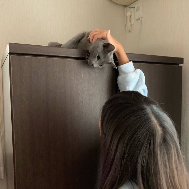 Dcc5bd6d f491 4a60 93aa 1e9aed927568 1574829455282