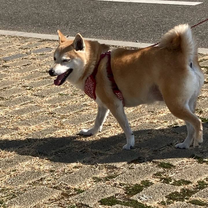 Dcc5d0f5 07c6 491a 864e 49feddfb9792 1613909369532