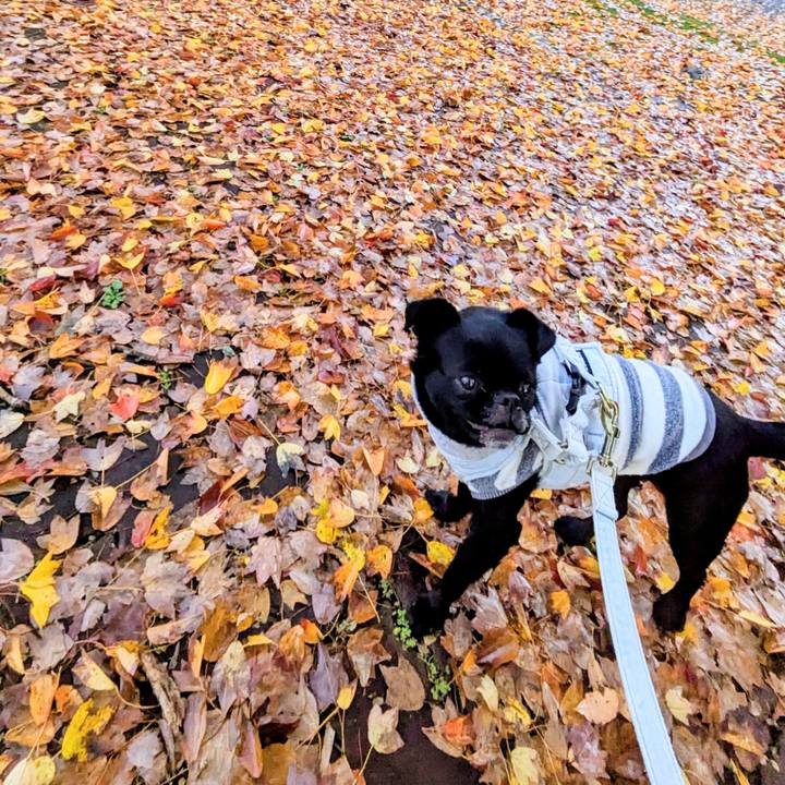 Dcc64e19 d641 4bbf b1f0 804e7d5266af 1764333915768