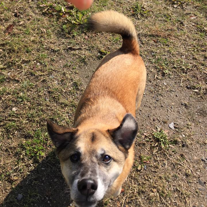 Dcc68838 102b 4b18 b762 3bbe84d70f28 1510717369603