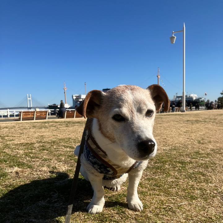 Dcc6a0be 4439 48ea b7d1 8b61b6f34bfa 1769925158127