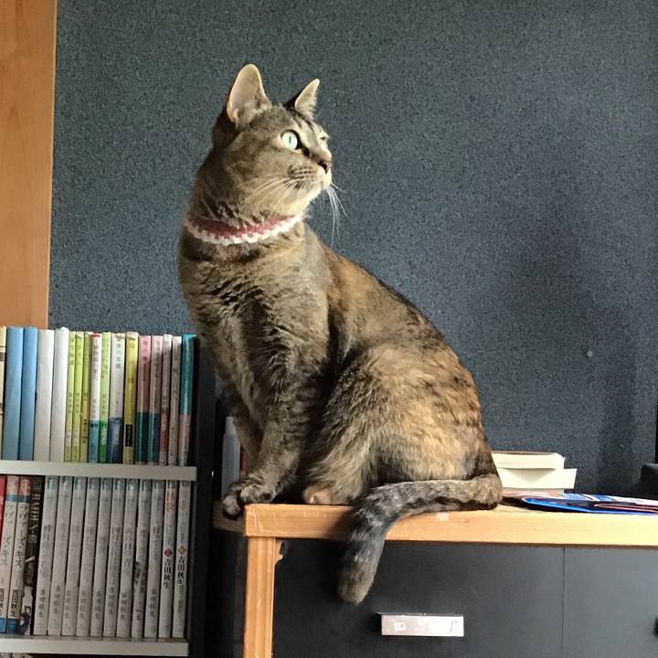 Dcc6a6cc cdb3 4ad0 ae3f b44279ac24e7 1652679541802