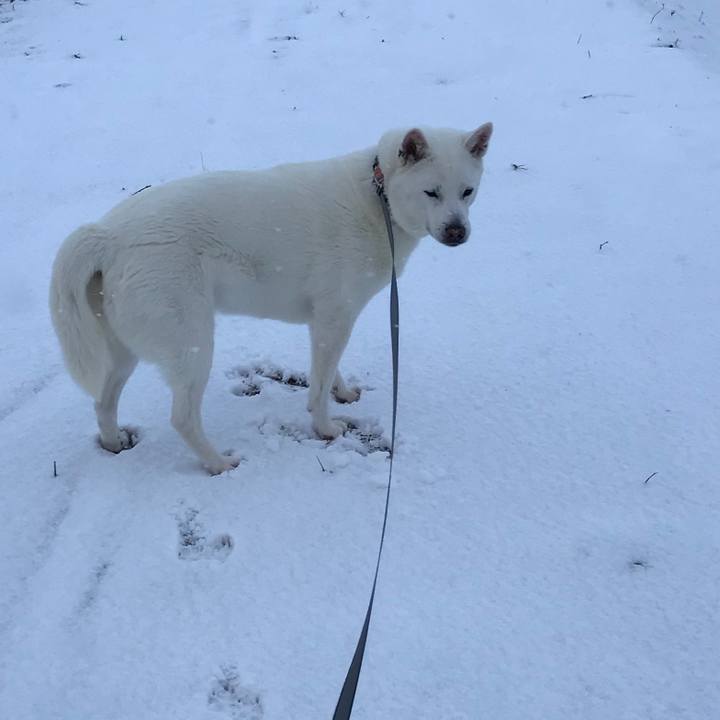 Dcc6edc6 57a9 494b a838 4cba6a1b1471 1518396953867