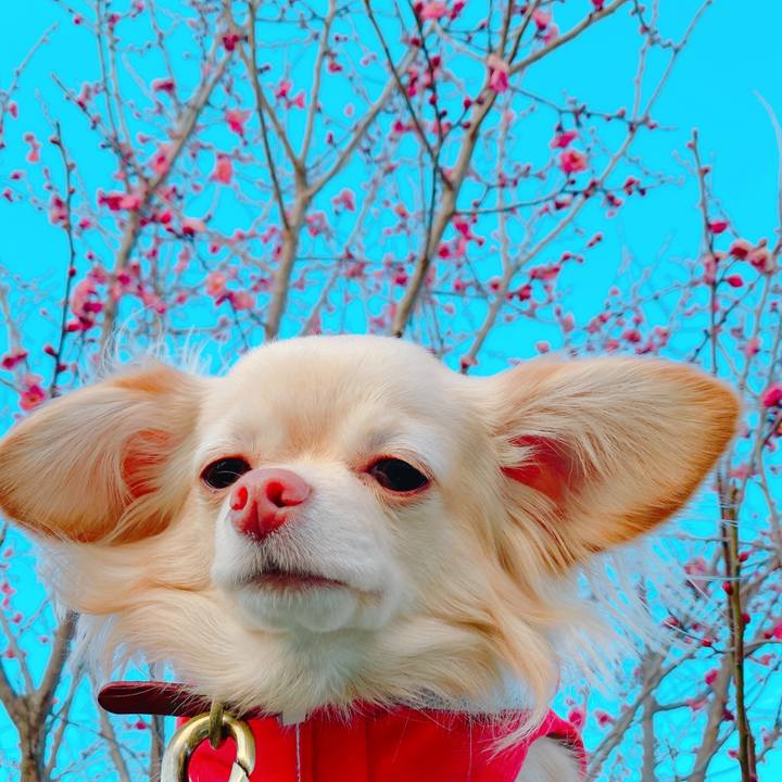 Dcc736b1 9202 43ca b72e 869e74812774 1644223248971