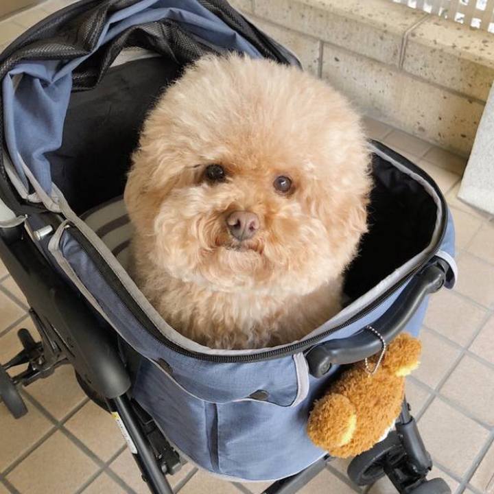 Dcc79699 b4b6 4f75 805c f968462b8dfe 1519055140549