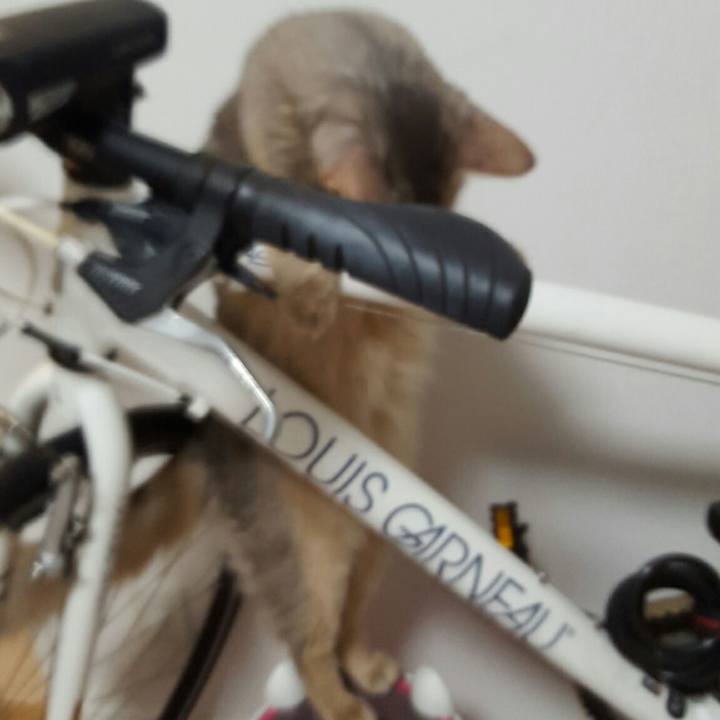 Dcc79d51 59c6 42cd bdd9 d97ac6fe906d 1530789000179