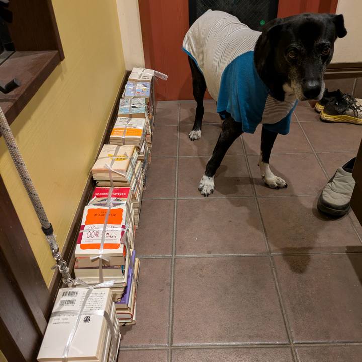 Dcc7caa3 170f 469b 94ff eac5d06a9f6c 1770210654214