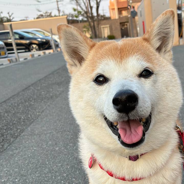 Dcc80781 5d7c 4760 b85a 3d3f135113f8 1745713111947