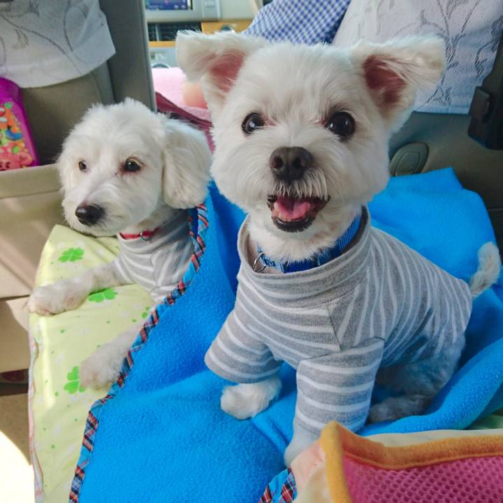 Dcc853cf 7d03 4fe3 a4d8 e30927ac808d 1532846484814