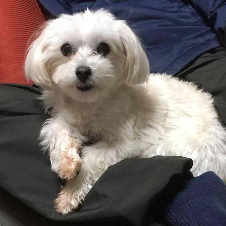 Dcc891a0 4436 4803 bc82 1e73ae4be295 1518226870273