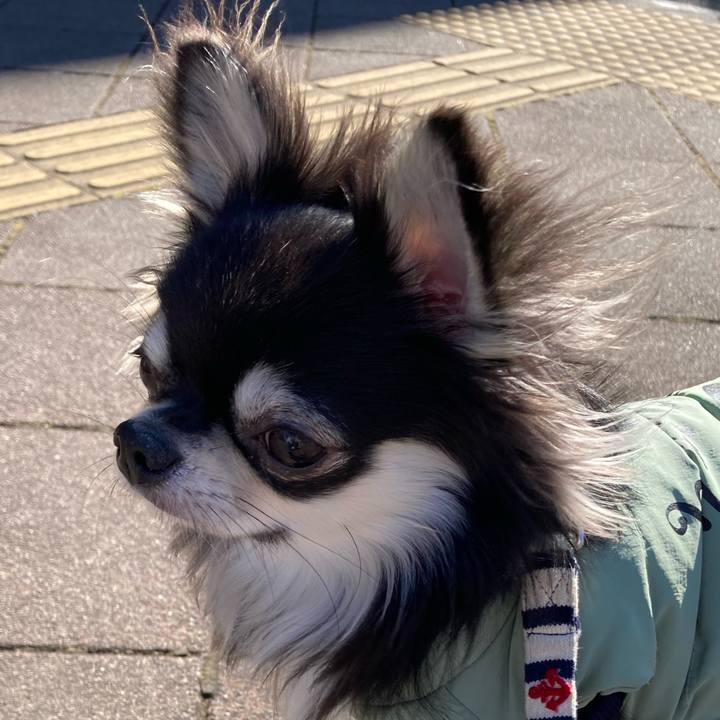 Dcc89786 4069 4fa2 85b2 b79b500a1269 1611979660696