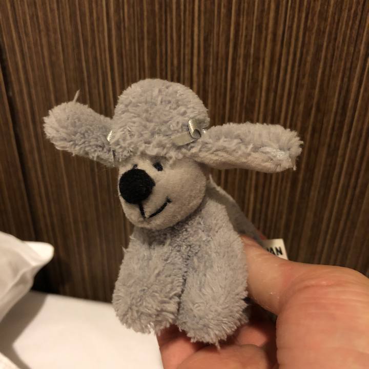 Dcc90797 a2e2 403f af64 d180f41b2f4f 1523372930906