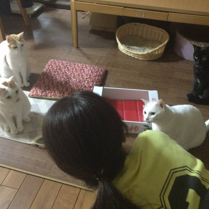 Dcc90c77 d762 4cf3 ac82 75220af2103a 1639146059279