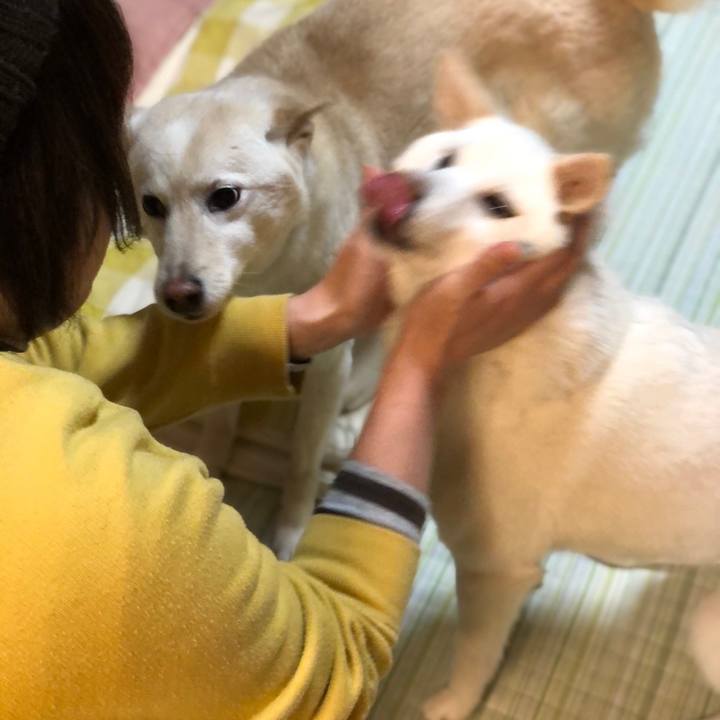 Dcc9198b 0d69 493c a057 8f485ca58c3c 1615369631812