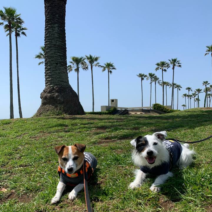 Dcc93ab1 0263 4f44 8343 3db6055f7488 1619835513063