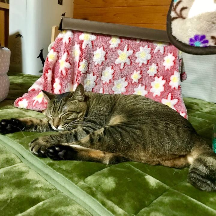 Dcc946d3 8277 4b19 9f27 9038a06a9c91 1509018658233