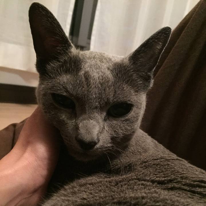 Dcc94cb7 5257 45c7 b586 e85a34037cb6 1543880364432