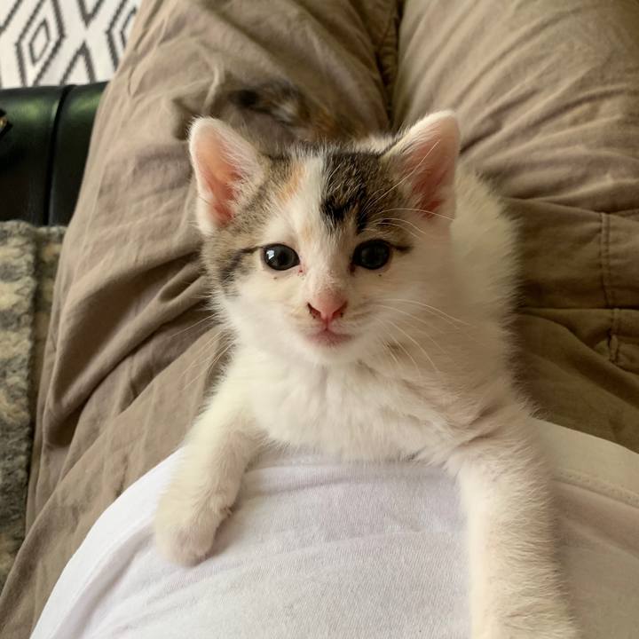 Dcc95da7 4c36 47a1 ada3 686e1c870c12 1589938734537