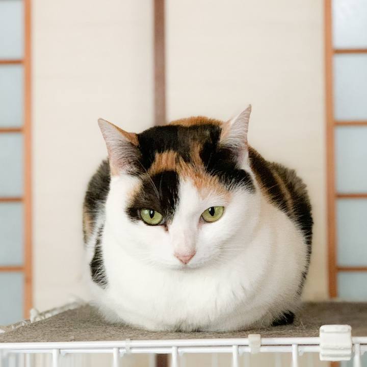 Dcc96279 eb4b 4c18 aa96 d827dec89e73 1577930763851