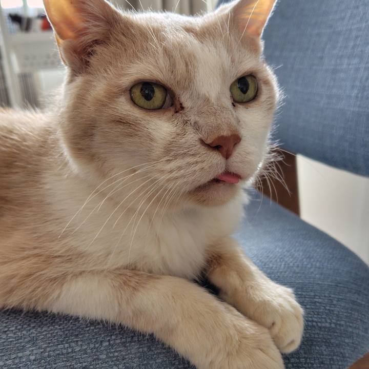 Dcc97b9b d0d7 4bf9 b0e5 d345715afe9a 1746743947318