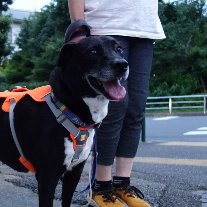 Dcc9a2d2 a633 471e 99a3 92eea885e385 1718017940763